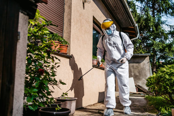 Best Spider Control Near Me  in Grand Meadow, MN