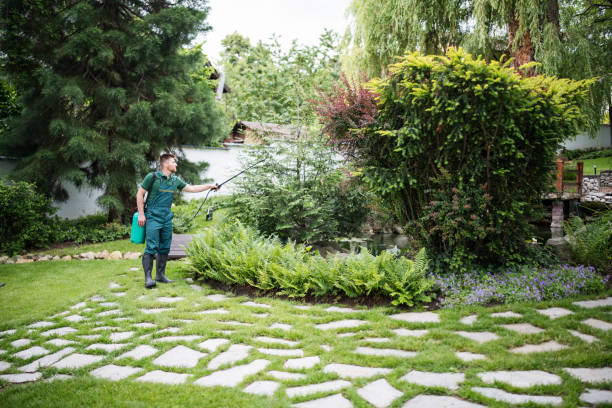 Best Pest Inspection Near Me  in Grand Meadow, MN