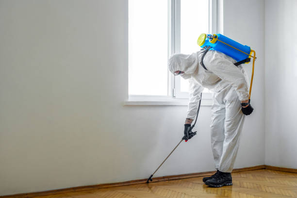 Best Pest Prevention Services  in Grand Meadow, MN