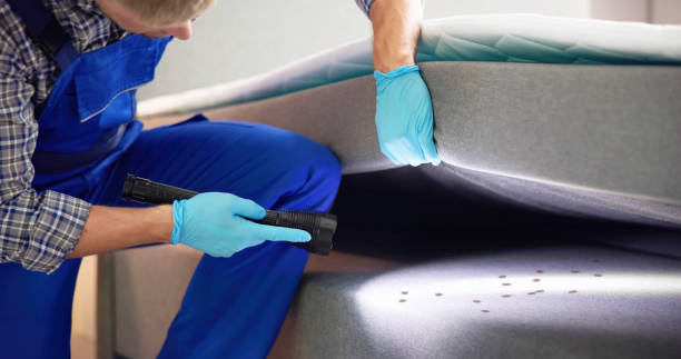 Best Pest Control Near Me in Grand Meadow, MN