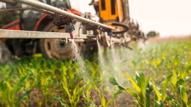 Best Pest Control for Homes  in Grand Meadow, MN